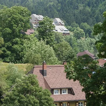 Ferienwohnung Sonne * Todtmoos